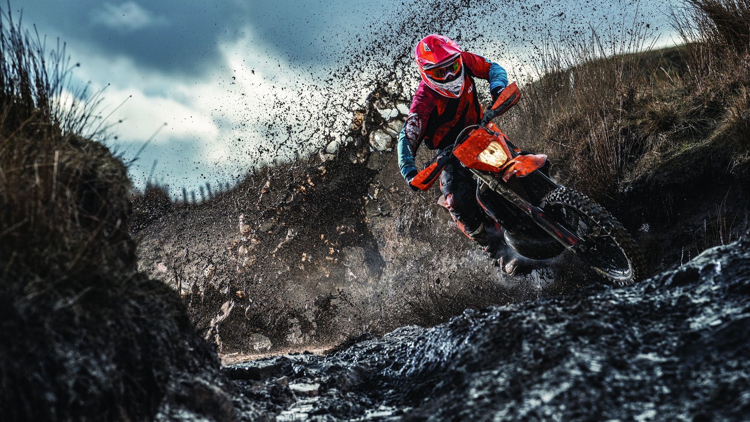 中国蝶泳新星闪耀国际泳联锦标赛，刷新亚洲纪录夺金